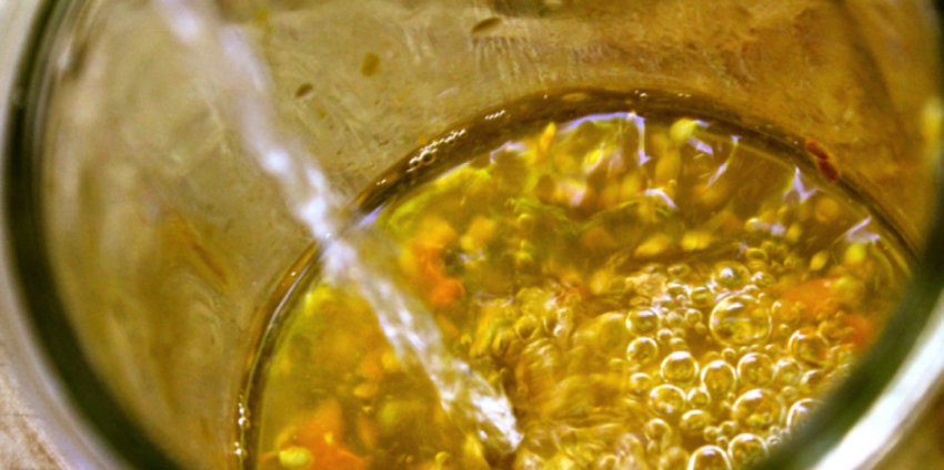 Замочування насіння Замочування насіння