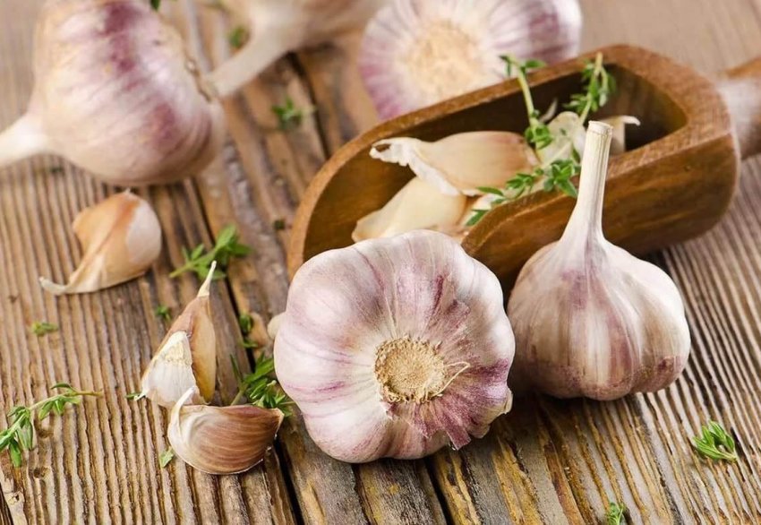 Часник в Україні подешевшає