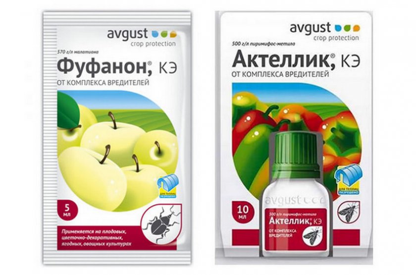 Химические препараты для уничтожения огнёвки