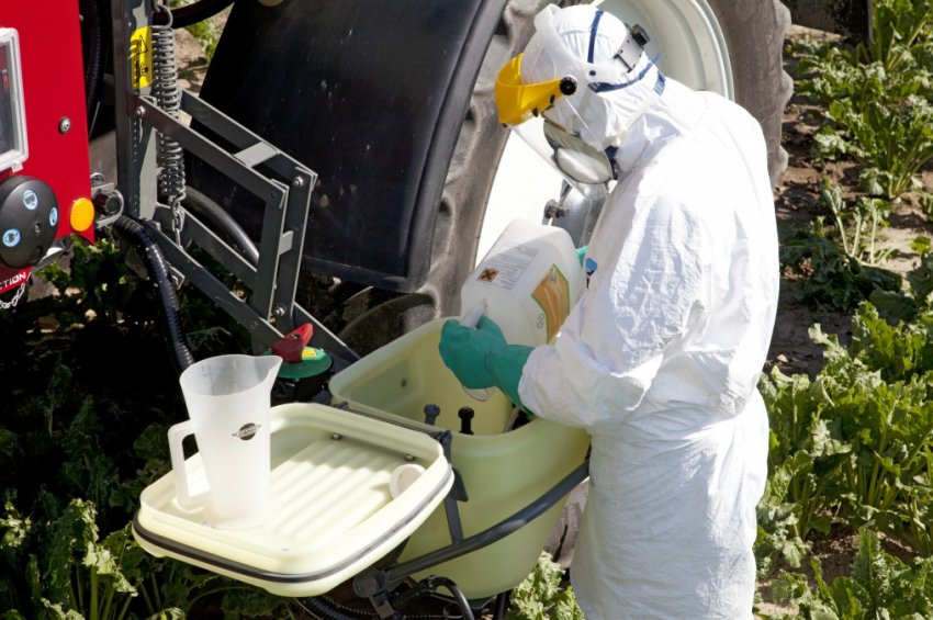 Міністр сільського господарства Німеччини сумнівається в майбутньому використанні гліфосату в Європі