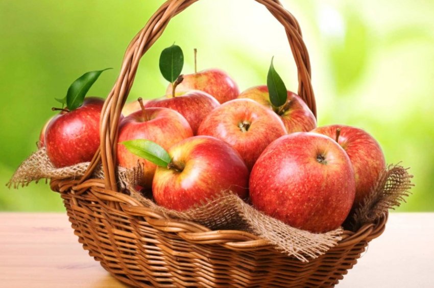 Україна йде на рекорд у експорті яблук Україна йде на рекорд у експорті яблук
