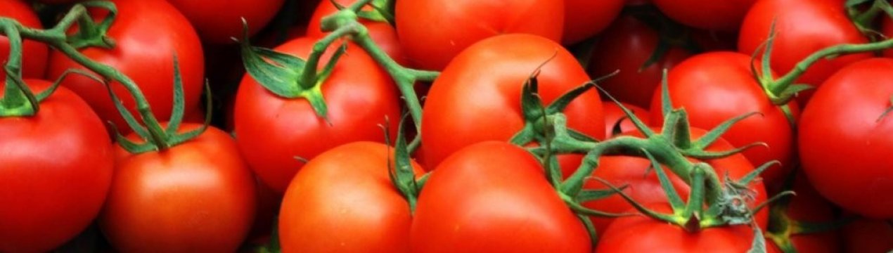 Україна нарощує імпорт томатів