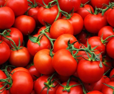 Україна нарощує імпорт томатів