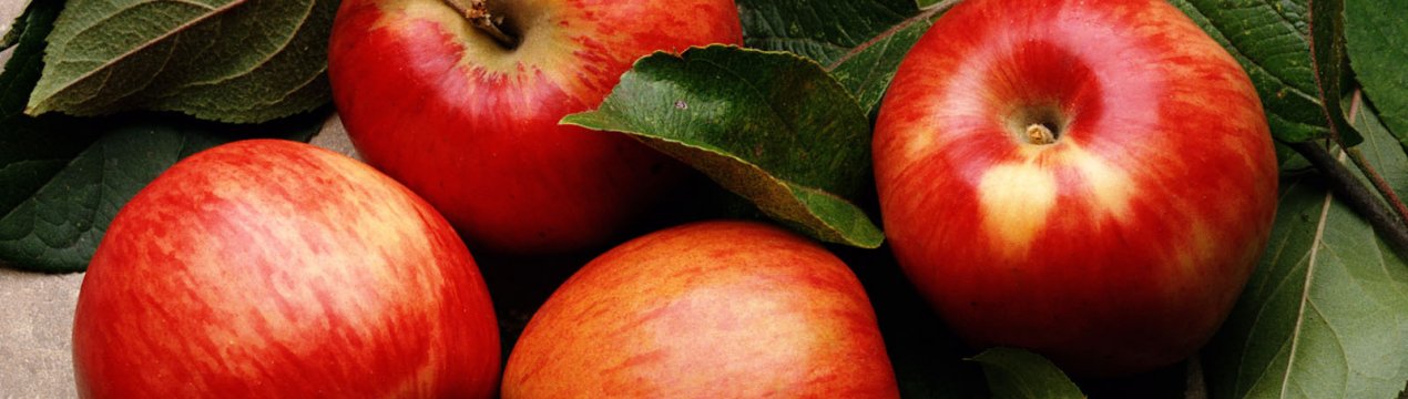 Україна йде на рекорд у експорті яблук