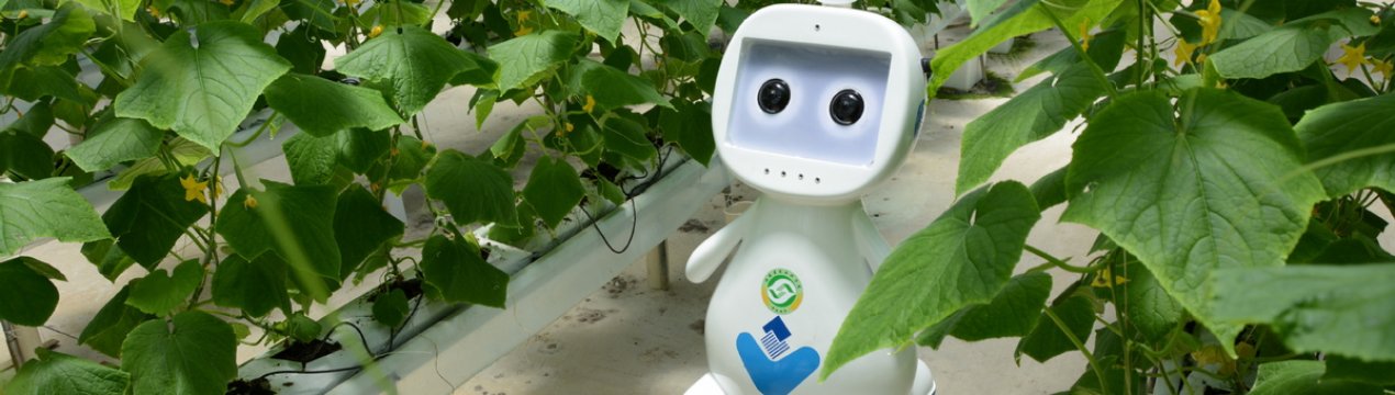 Дбайливий робот від китайських вчених стежить за здоров'ям рослин