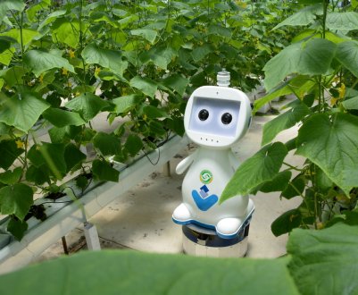 Дбайливий робот від китайських вчених стежить за здоров'ям рослин