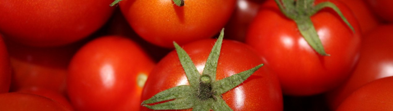 Іспанці створили добриво з відходів помідорних