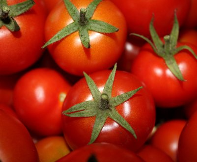 Іспанці створили добриво з відходів помідорних