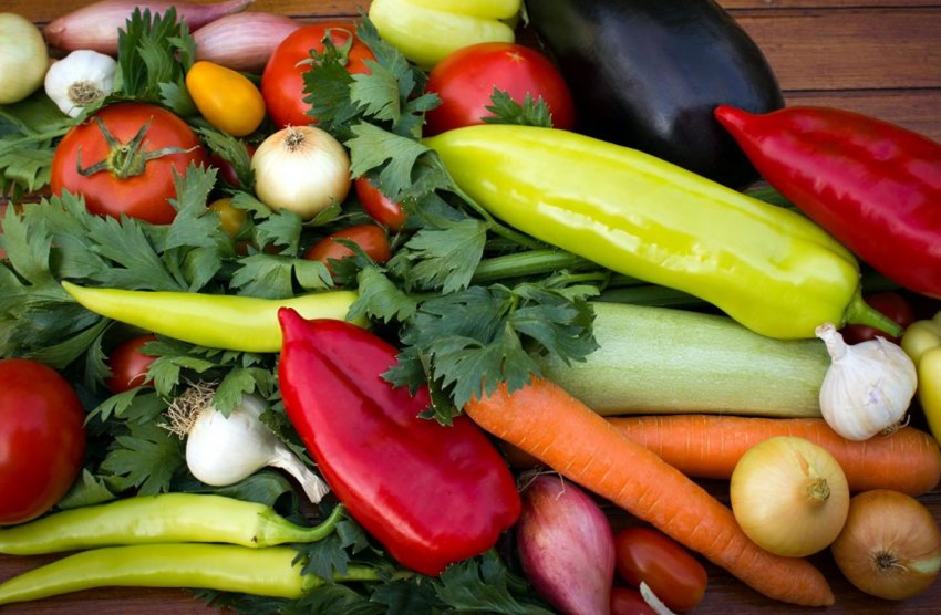 Краснодарські теплиці і городи радують високими врожаями Краснодарські теплиці і городи радують високими врожаями