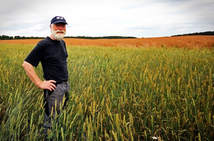 Ростовські фермери не поспішають йти в ногу з агропрогрессом Ростовські фермери не поспішають йти в ногу з агропрогрессом