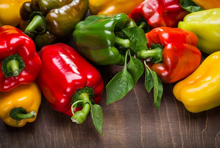 Голландські вчені розводять рослини солодкого перцю, нечутливі до вірусів