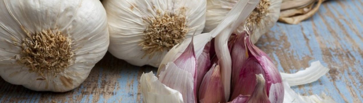 У чому відмінності між ярим і озимим часником?