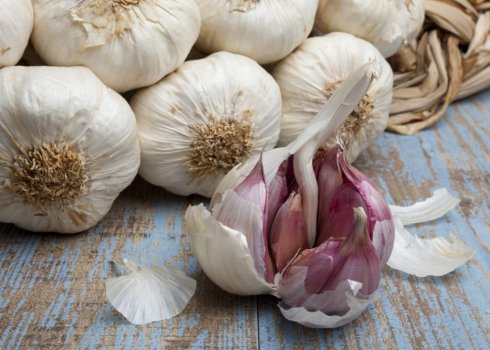 У чому відмінності між ярим і озимим часником?