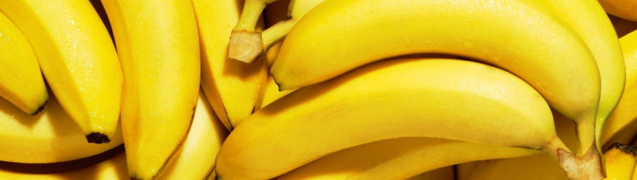 Виробництво бананів у Латинській Америці під загрозою небезпечного захворювання