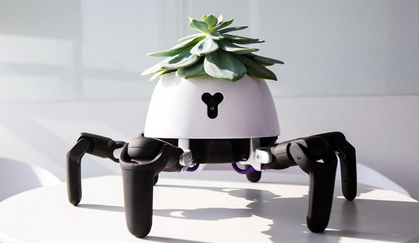 Турботливий робот від китайських вчених стежить за здоров'ям рослин