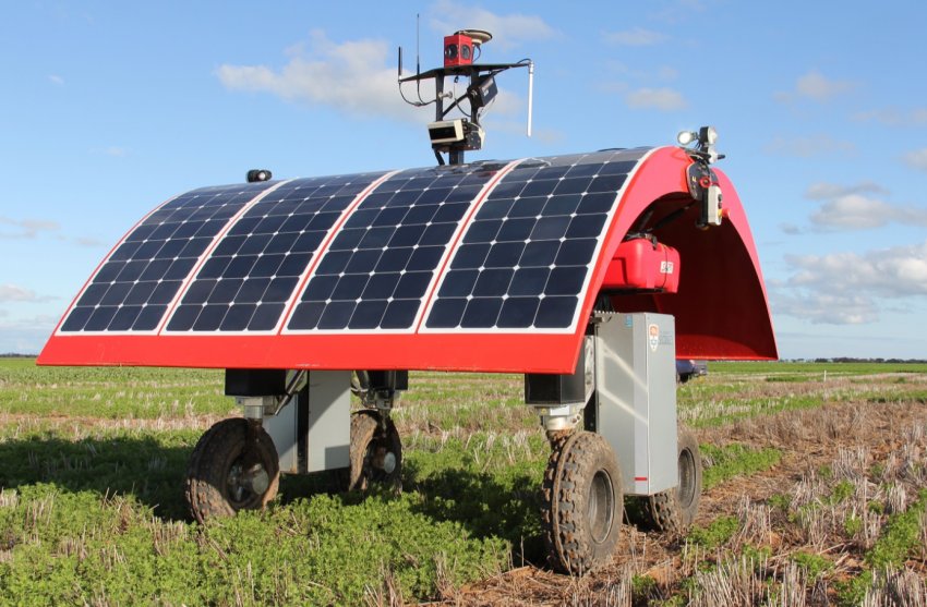 Турботливий робот від китайських вчених стежить за здоров'ям рослин