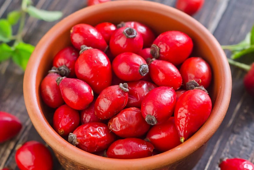 Ягоди шипшини для приготування варення Ягоди шипшини для приготування варення