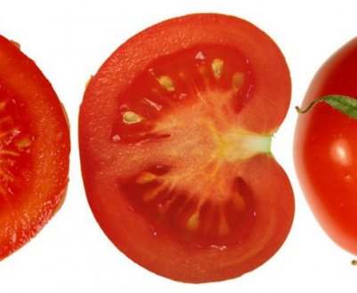 Помідори «Жонглер»: опис, агротехніка вирощування