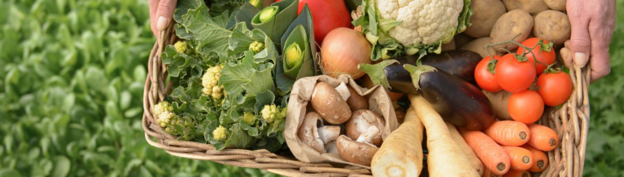 У Білорусі зросте масштабний экорынок