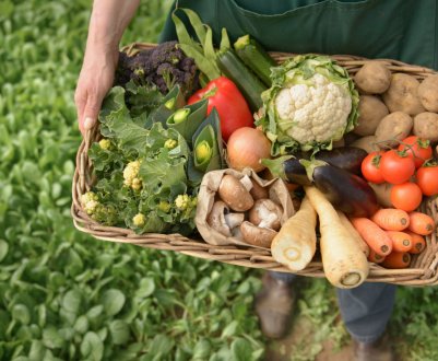 У Білорусі зросте масштабний экорынок