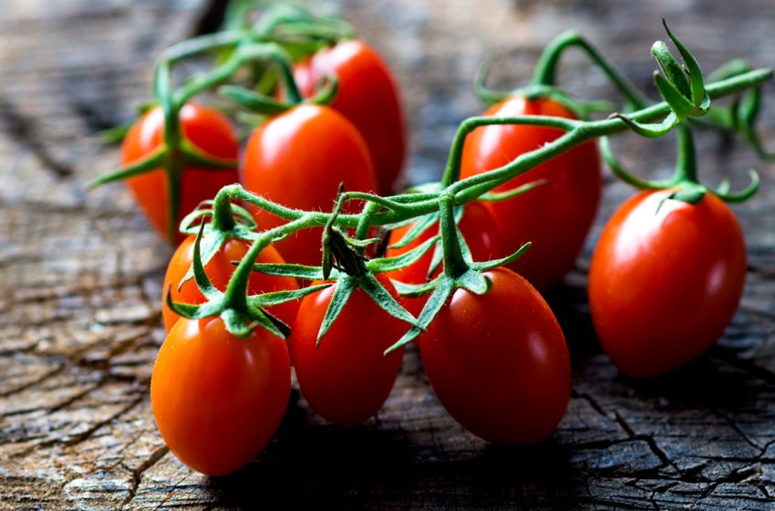 Польща підвищує ціну на помідори власного виробництва Польща підвищує ціну на помідори власного виробництва