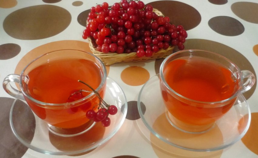 Чай из калины