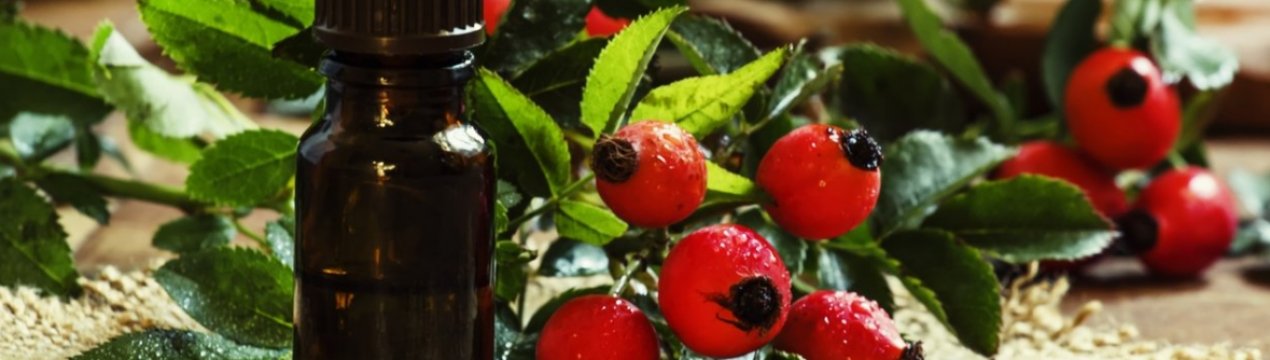Масло шипшини: властивості та застосування