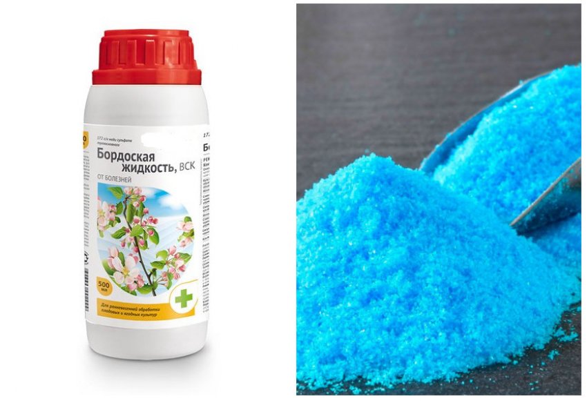 Бордоська рідина та мідний купорос Бордоська рідина та мідний купорос