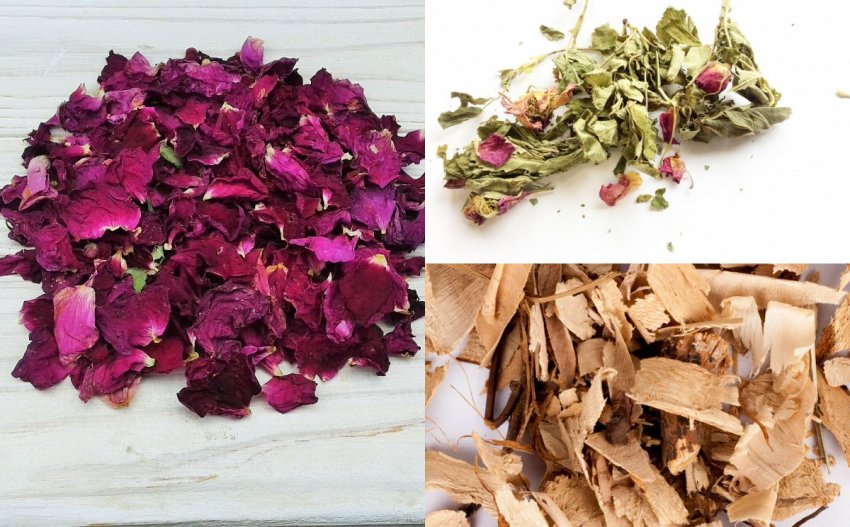 Сушені квіти, листя і коріння шипшини Сушені квіти, листя і коріння шипшини