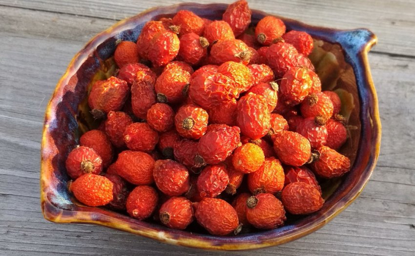 Сушений шипшина Сушений шипшина