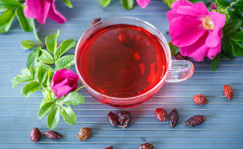 Чай з шипшини Чай з шипшини