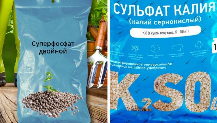 Підживлення ґрунту Підживлення ґрунту