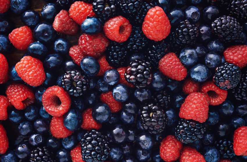 Вінницькі фермери впроваджують суперинтенсивное ягідництво Вінницькі фермери впроваджують суперинтенсивное ягідництво