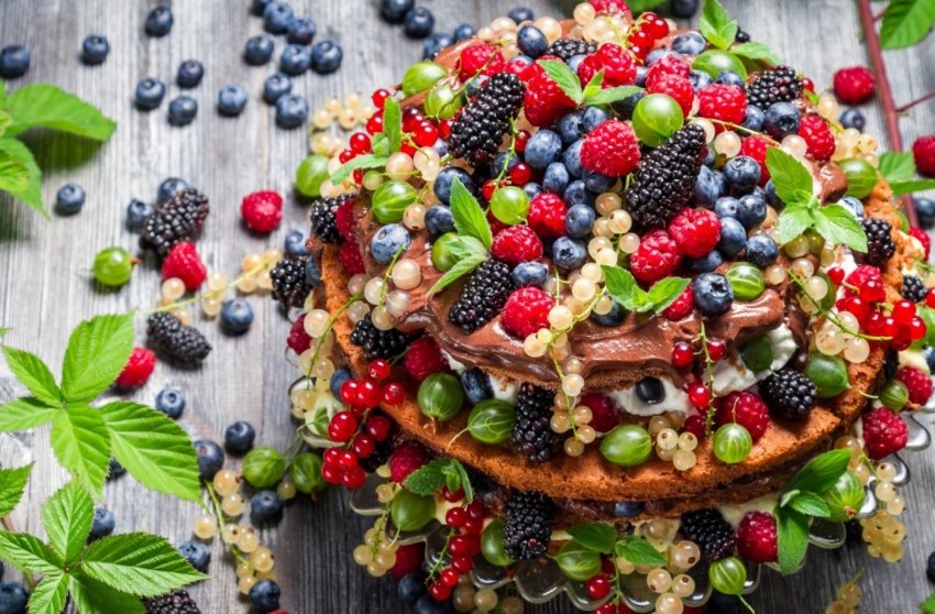 Вінницькі фермери впроваджують суперинтенсивное ягідництво Вінницькі фермери впроваджують суперинтенсивное ягідництво