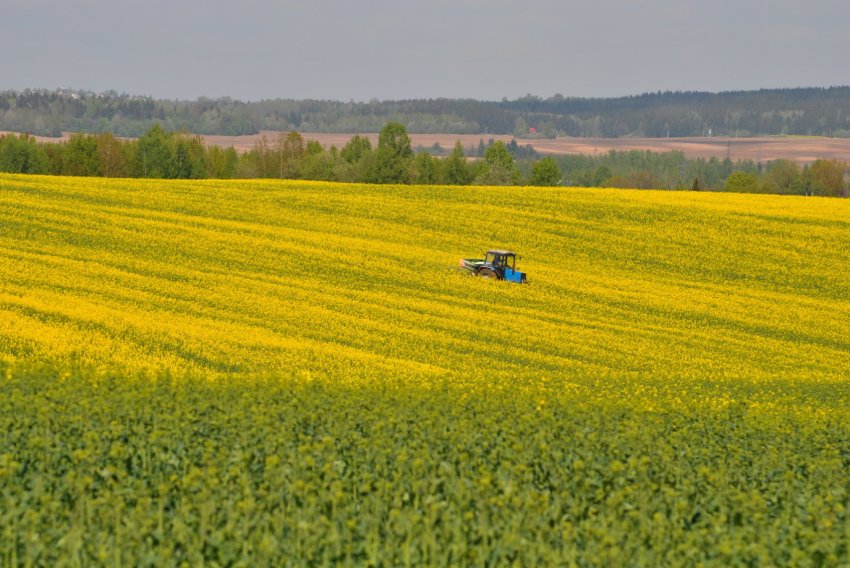 Українські аграрії зможуть планувати посівну за допомогою супутників EOS Crop Monitoring Українські аграрії зможуть планувати посівну за допомогою супутників EOS Crop Monitoring