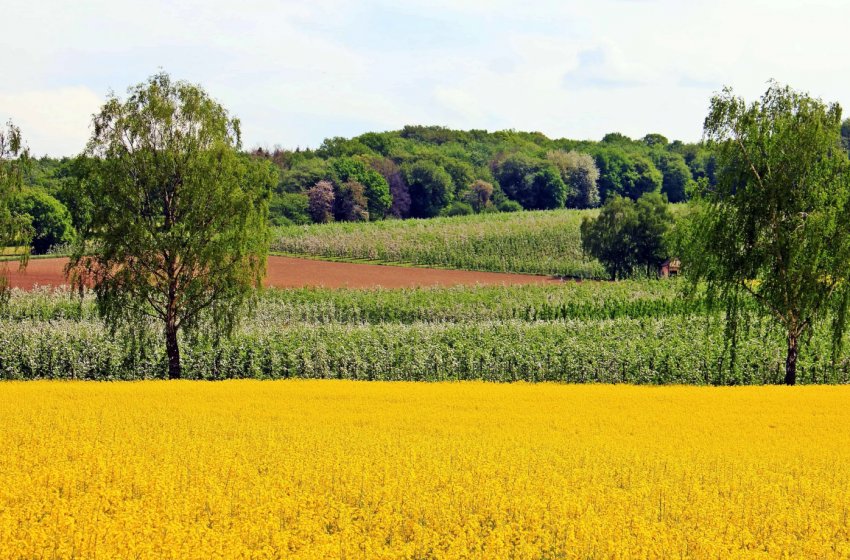 Українські аграрії зможуть планувати посівну за допомогою супутників EOS Crop Monitoring Українські аграрії зможуть планувати посівну за допомогою супутників EOS Crop Monitoring