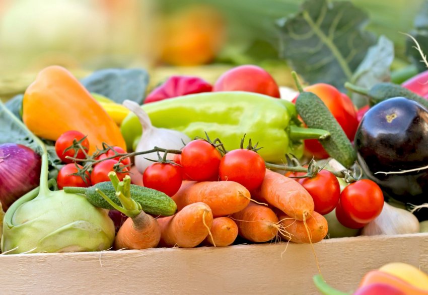 Рівненське агропідприємство відправляє на експорт 90% органічної продукції Рівненське агропідприємство відправляє на експорт 90% органічної продукції