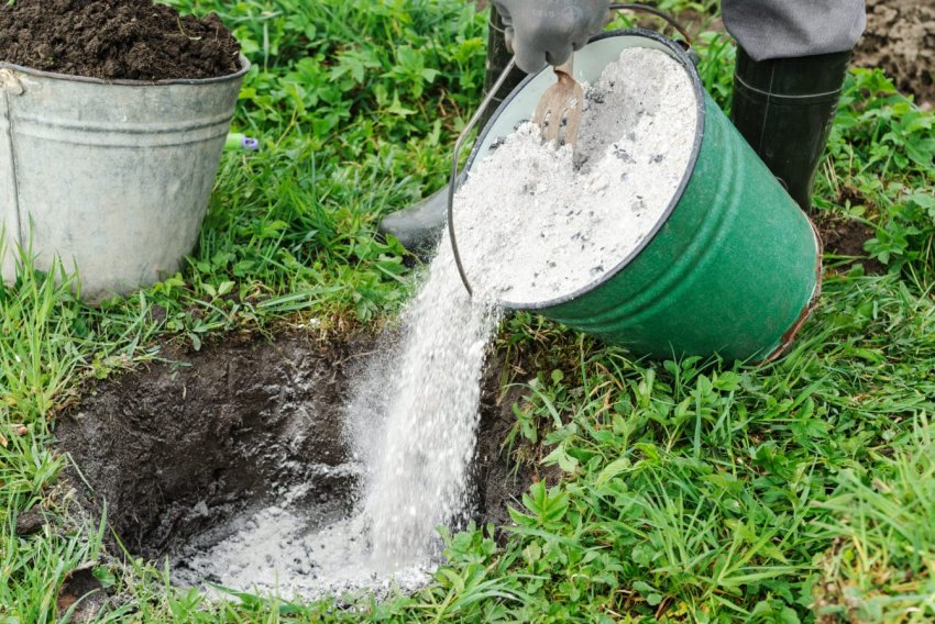 Іспанці створили добриво з помідорних відходів Іспанці створили добриво з помідорних відходів