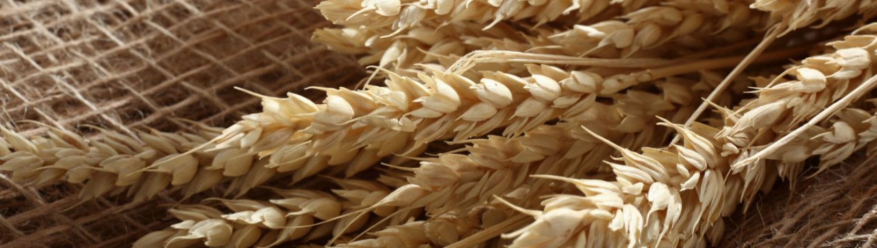 Філіппіни — на порозі імпорт-рекорду