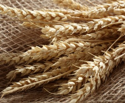 Філіппіни — на порозі імпорт-рекорду