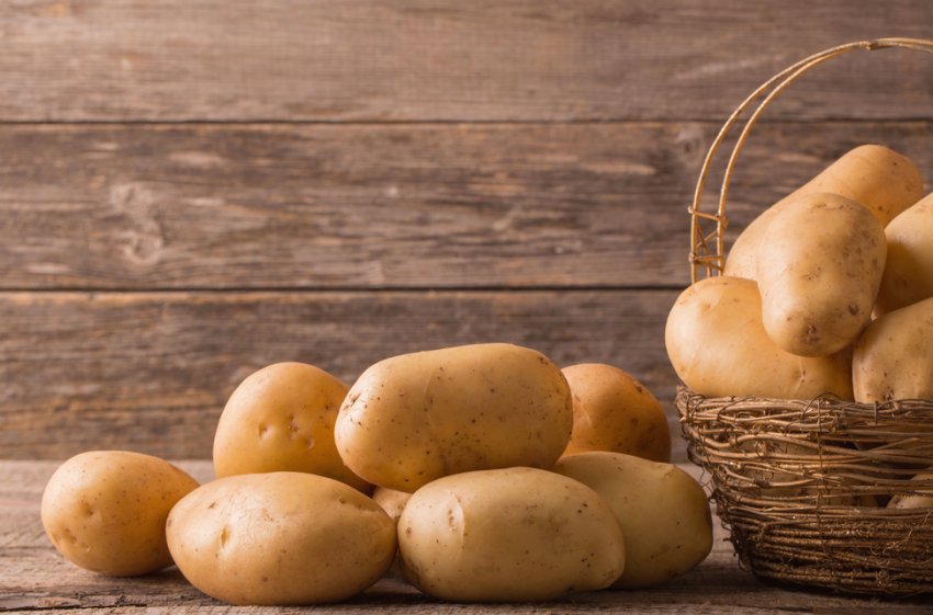 Картопля фермера з Кубані став брендом Картопля фермера з Кубані став брендом