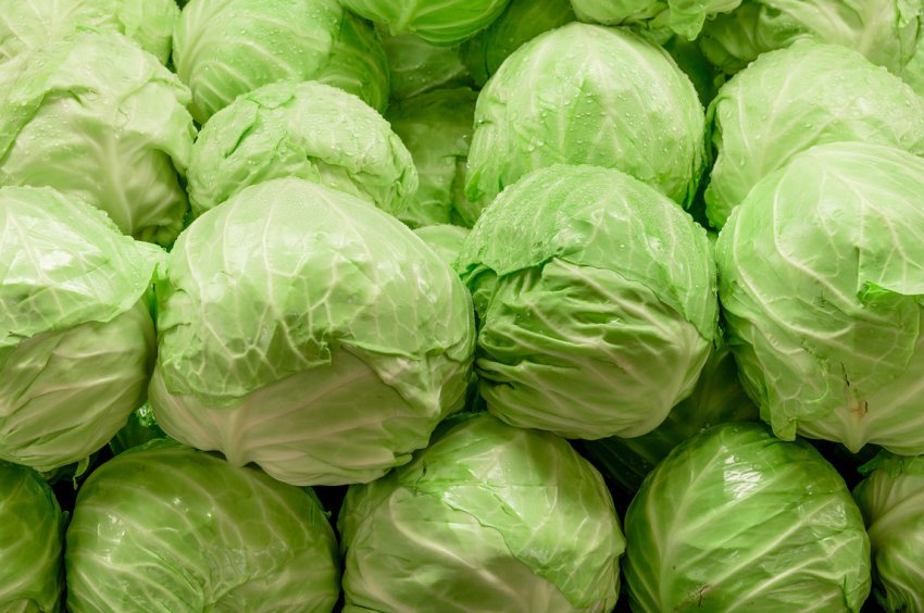 На російському ринку не втомлюється дорожчати капуста На російському ринку не втомлюється дорожчати капуста