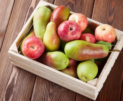 Миколаївські садівники вирощують саджанці, які дають по 60 тонн яблук з гектара