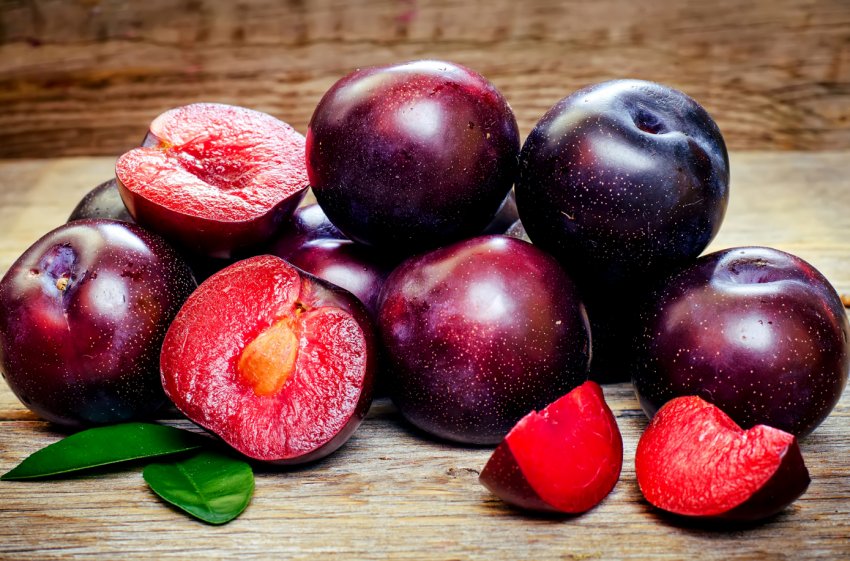 Миколаївські садівники вирощують саджанці, які дають по 60 тонн яблук з гектара