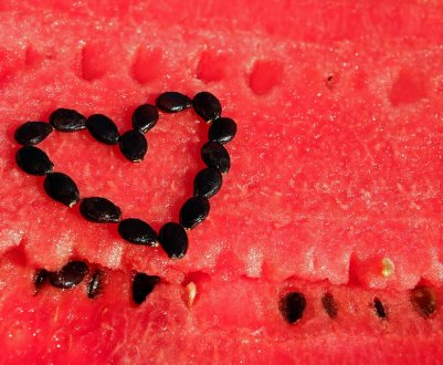 Одеські аграрії виростили квадратні кавуни