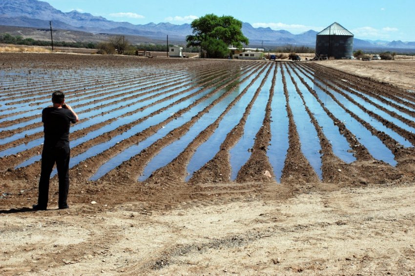 Підземні води Молдови не годяться для зрошення сільгоспугідь