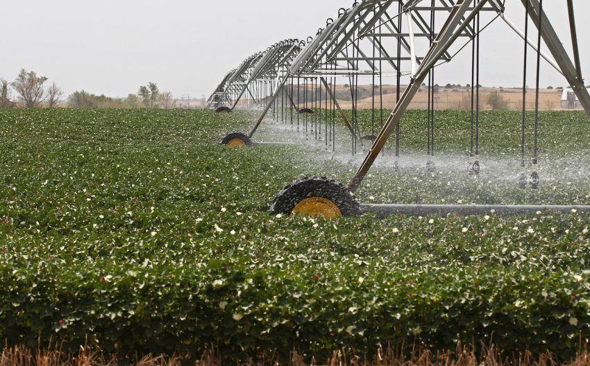 Підземні води Молдови не годяться для зрошення сільгоспугідь