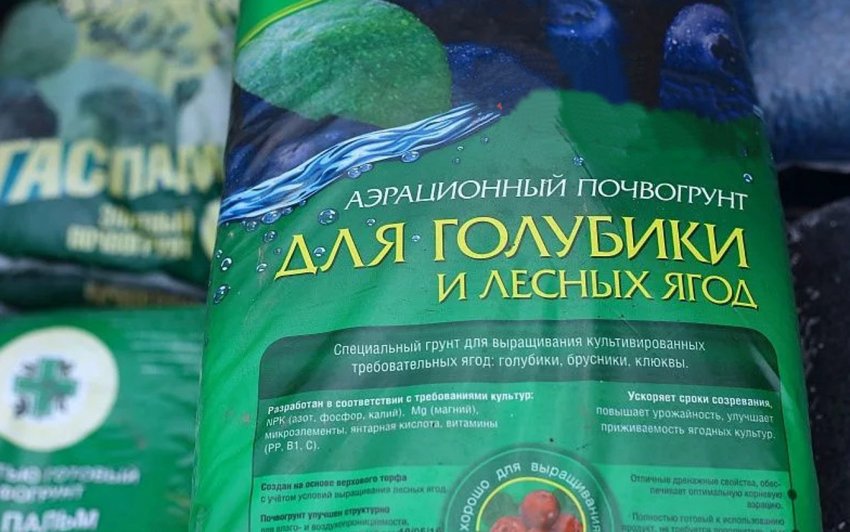 При посадке голубики что положить в лунку осенью. Смотреть фото При посадке голубики что положить в лунку осенью. Смотреть картинку При посадке голубики что положить в лунку осенью. Картинка про При посадке голубики что положить в лунку осенью. Фото При посадке голубики что положить в лунку осенью