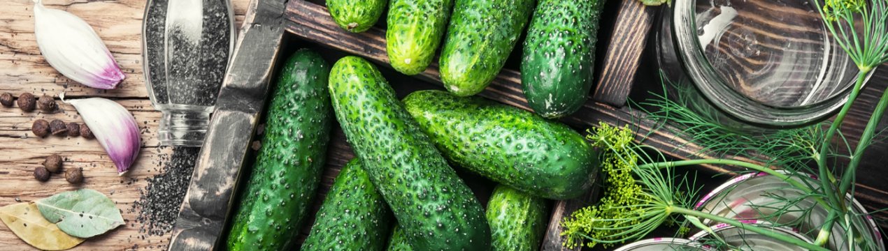 Фермери Канади запустили в продаж лінійку міні-огірків