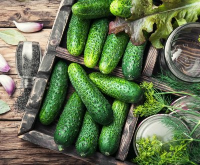 Фермери Канади запустили в продаж лінійку міні-огірків